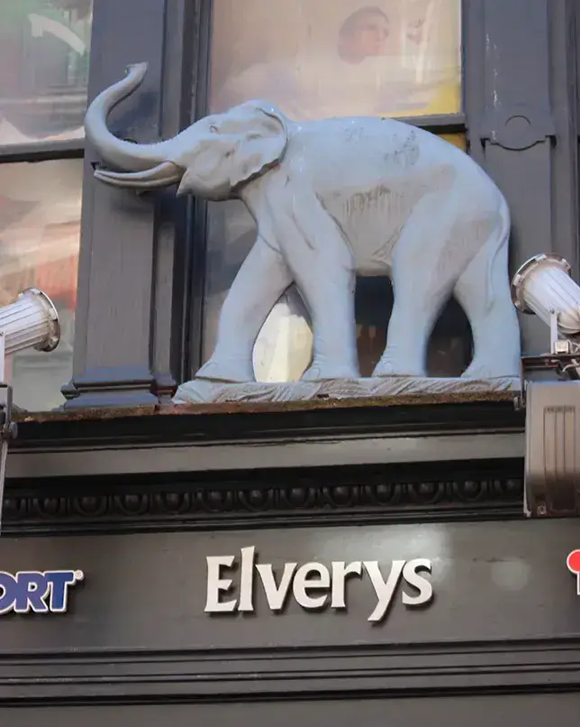 Elephant