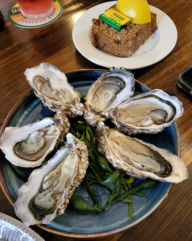 Oysters and Brown Bread