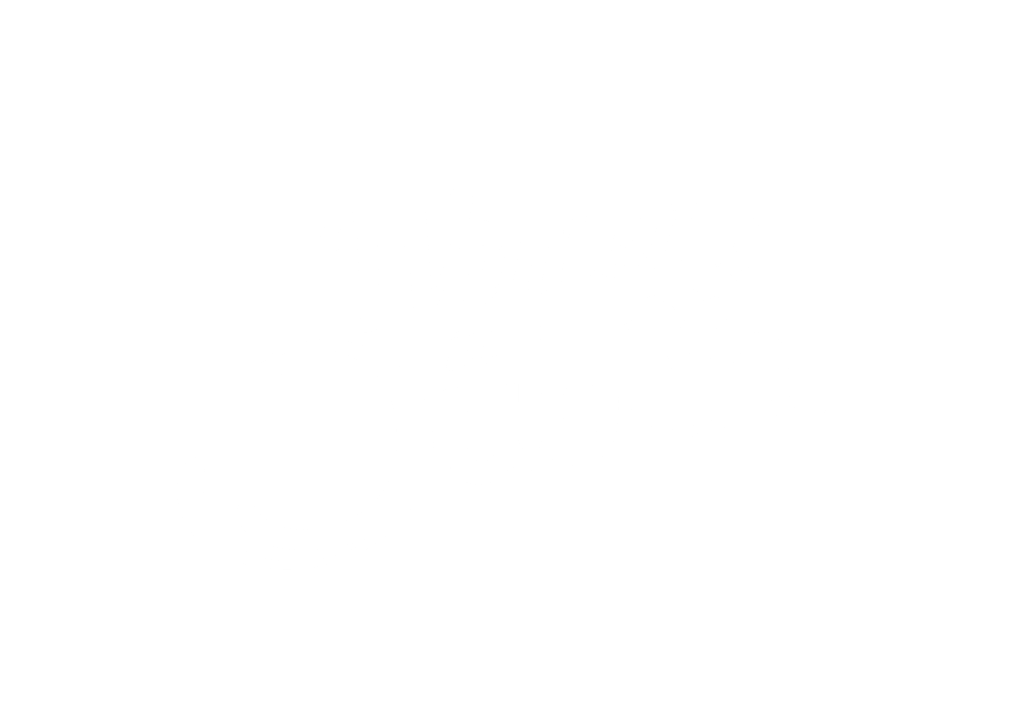 Logo white Winter in Dublin